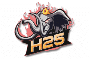 h25 logo